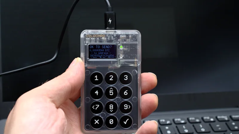 Hardware wallet for cryptocurrency